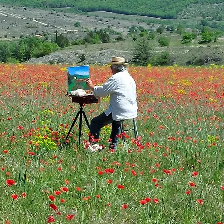 Pensionat La Campagne De Lili - Et Cuisine Sur Terrasse Privee