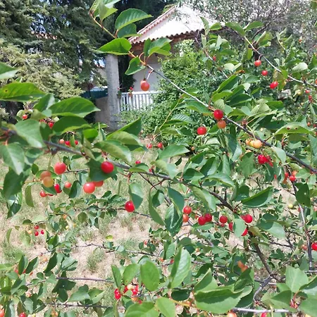 La Campagne De Lili - Et Cuisine Sur Terrasse Privee *