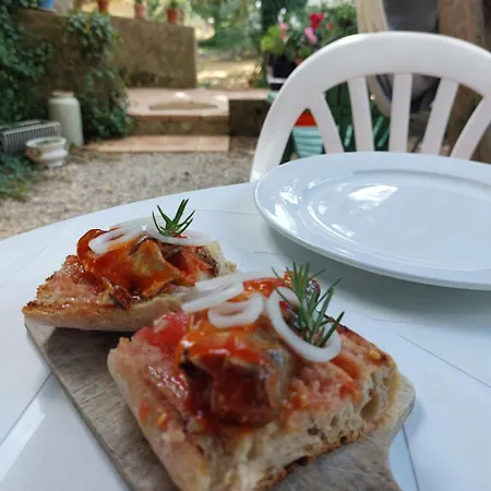 Guest house La Campagne De Lili - Et Cuisine Sur Terrasse Privee Ongles