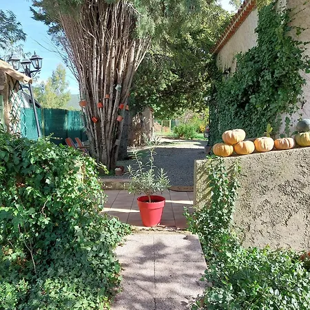 La Campagne De Lili - Et Cuisine Sur Terrasse Privée